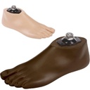 SACH Foot, adult, with pyramidal adapter